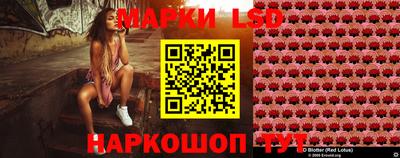 амф Кулебаки