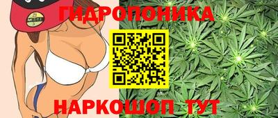 сатива Краснокаменск