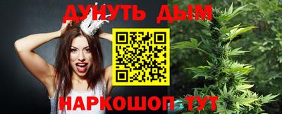 сатива Краснокаменск