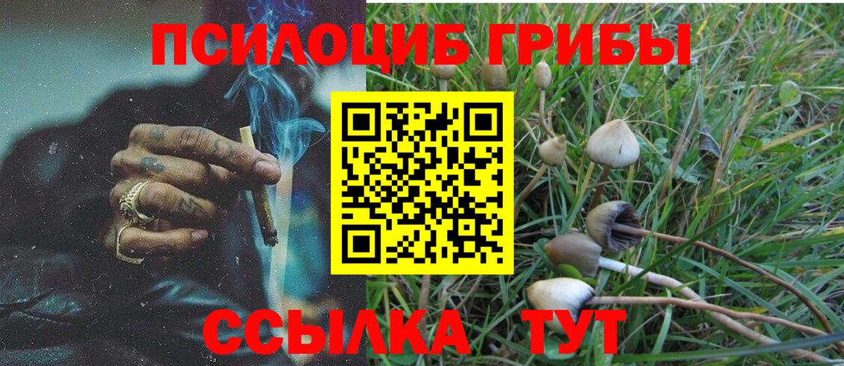 Зима  Галлюциногенные грибы Magic Shrooms  Галлюциногенные грибы прущие грибы  Вход с VPN 