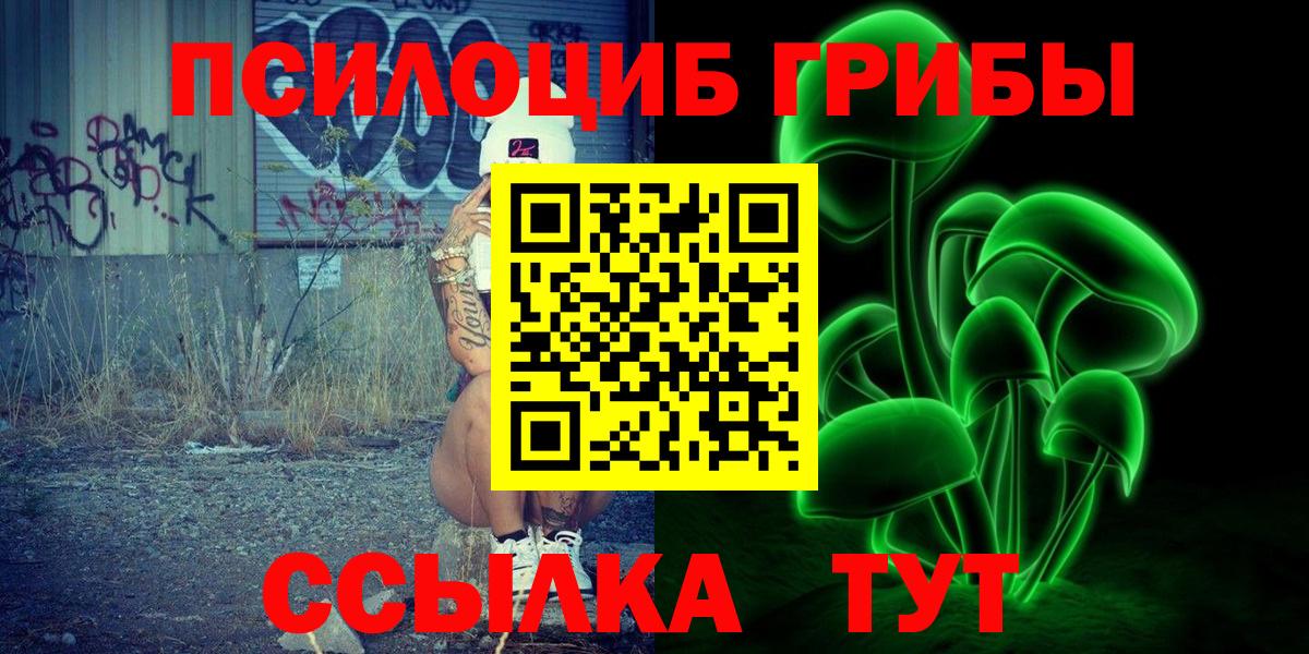 Галлюциногенные грибы прущие грибы Зима